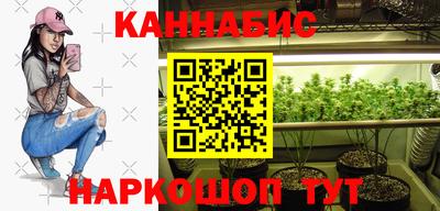 дмт Кингисепп