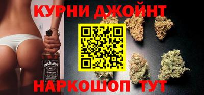 дмт Кингисепп