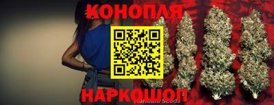 дмт Кингисепп
