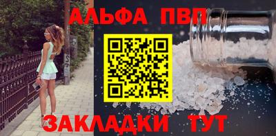 дмт Кингисепп