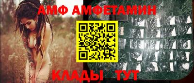 дмт Кингисепп