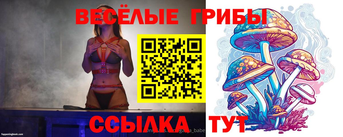 Галлюциногенные грибы GOLDEN TEACHER  Вход с VPN  Краснотурьинск 